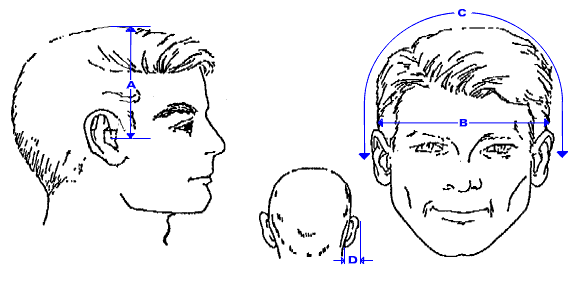 Key human head dimensions