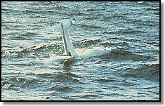 Ditching Sequence - Pilot Safe - Plane Finally Sinks